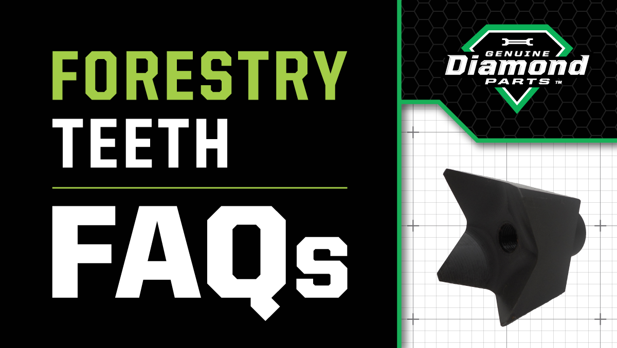 forestry-teeth-maintenance-faqs_banner_v2_@1200x678.png