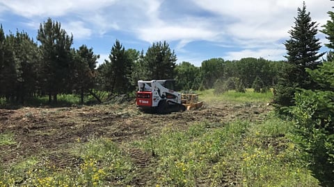 Skid-Steer & Attachment Considerations for Forestry Applications