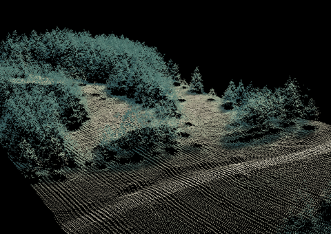 Utilizing Technology In Vegetation Management