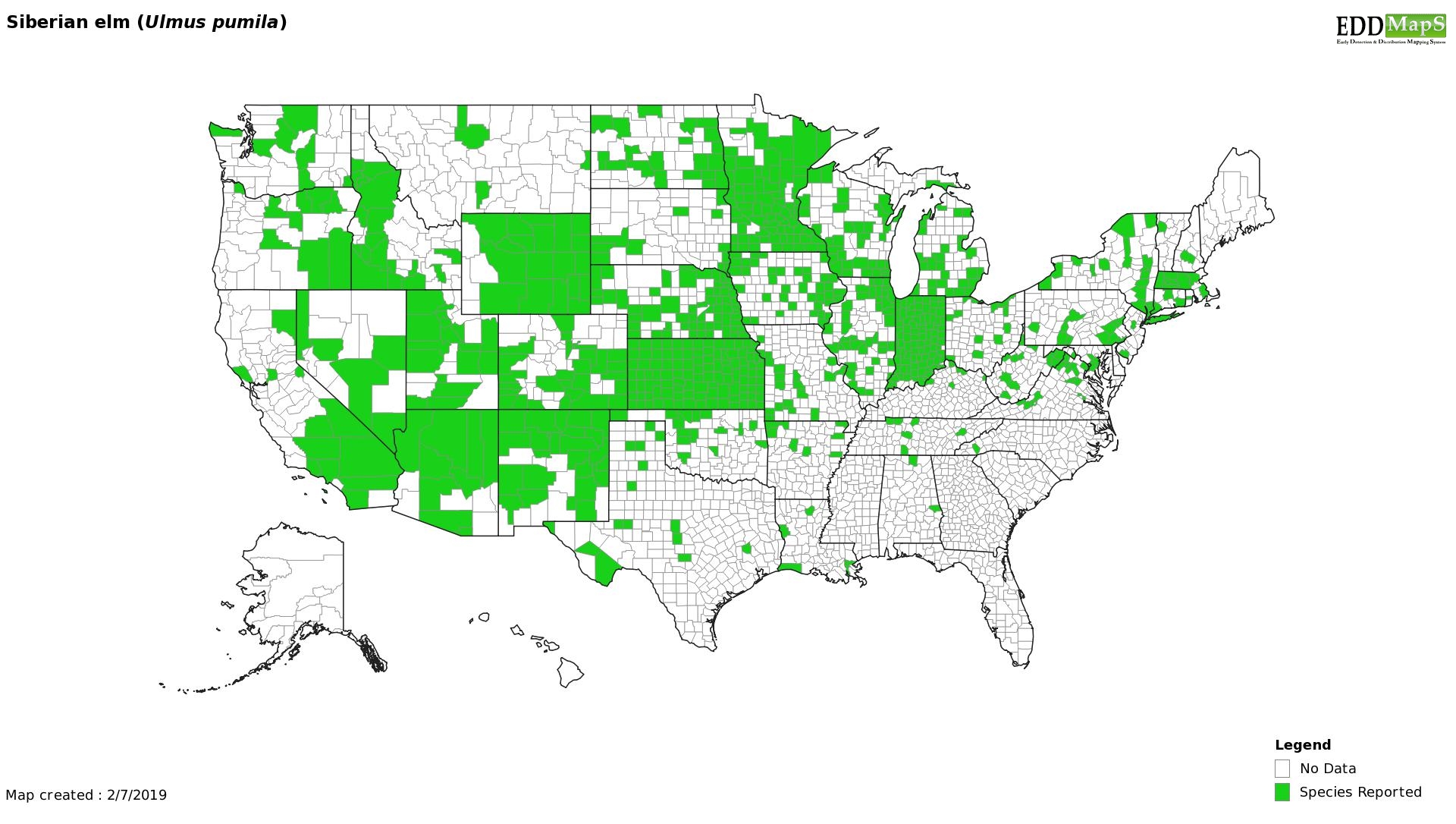 Eddmaps - Siberian Elm US Distribution