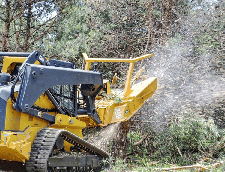 removing sumac infected tree with skid-steer