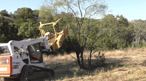 Mulching Mesquite In The South