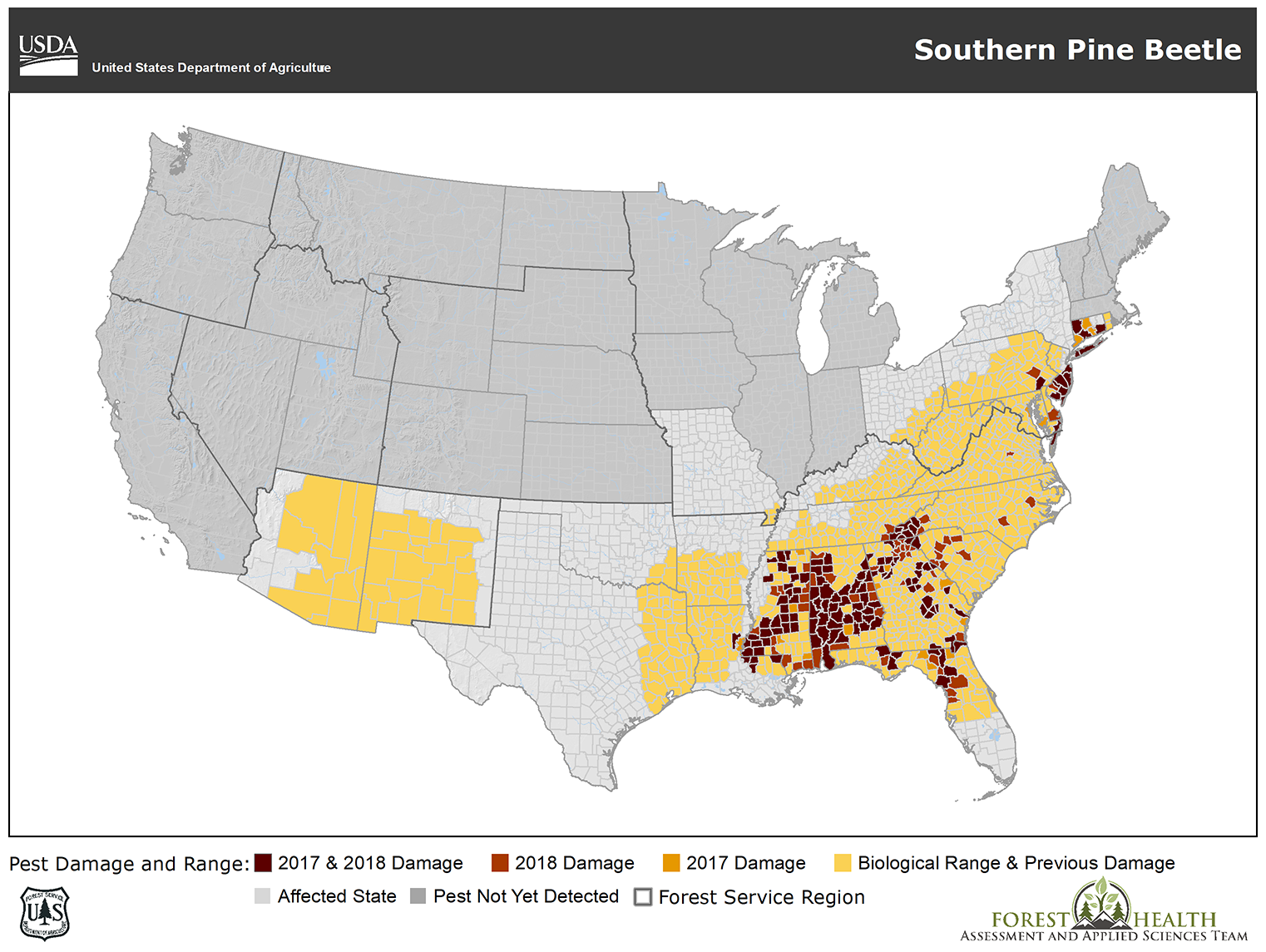 Combatting Bark Beetle Outbreaks Strategies and Solutions