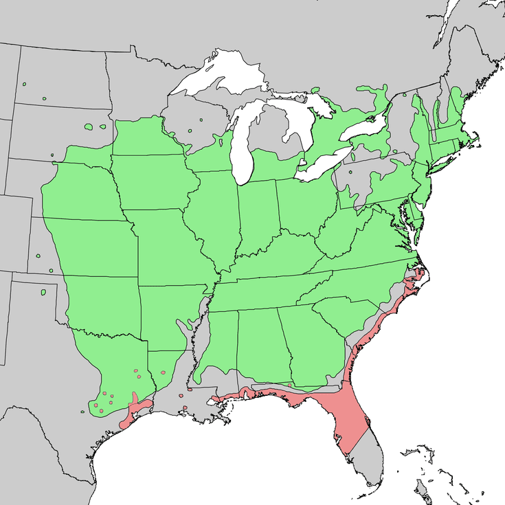 Invasive Red Cedar Tips For Controlling And Removing invasive-red-cedar-tips-for-controlling-and-removing