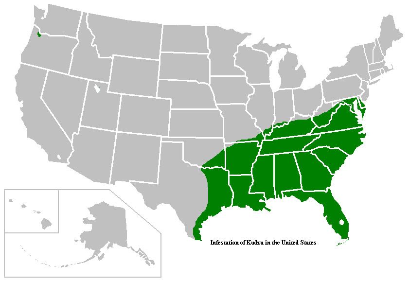 The Kudzu Invasion Chelsea Renteria Diamond Mowers Kudzu Map Usa