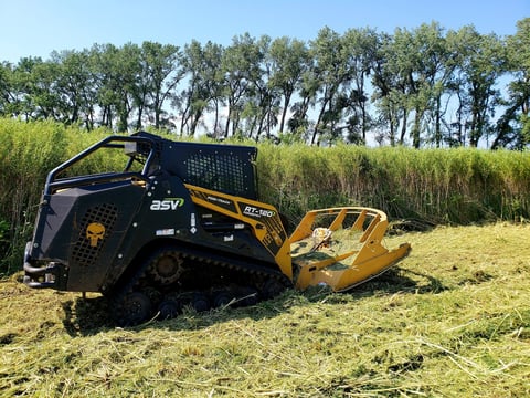 Eliminating Siberian Elm