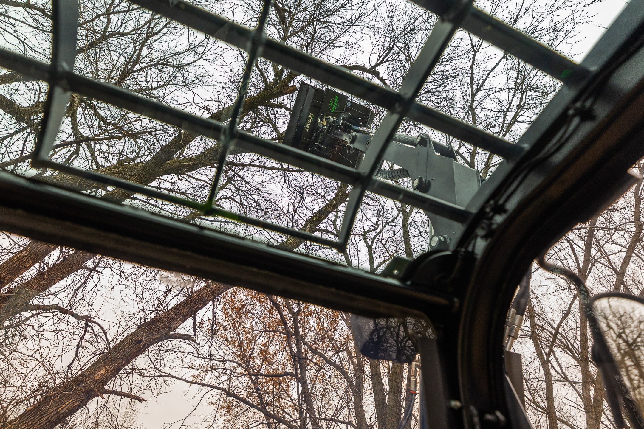 dm 360 cutting a tree