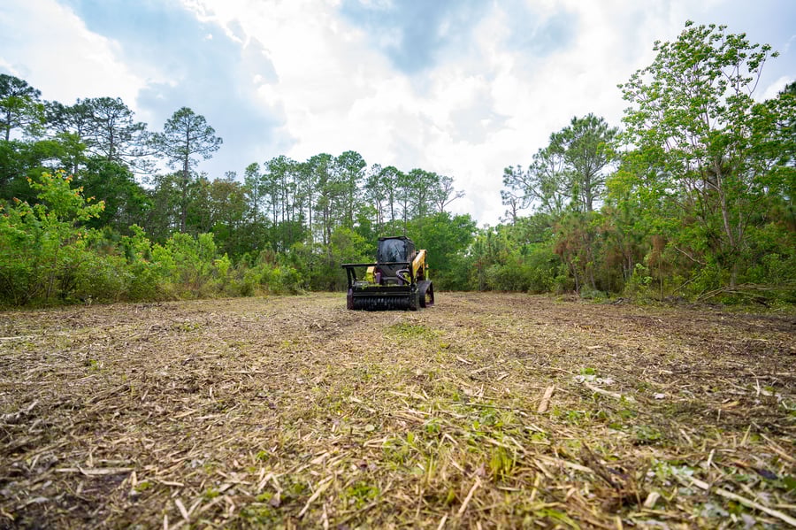 drum mulcher in a field of mulched trees