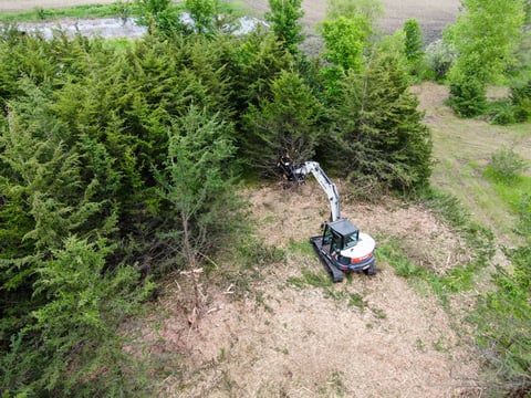 Efficient Vegetation Management for Effective Storm Cleanup