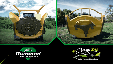 Diamond Attending Expoforest 2018