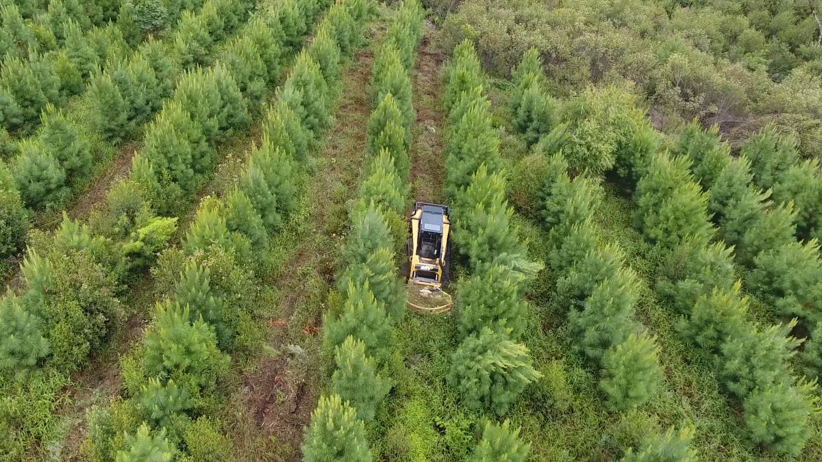 Intra-Row Mowing