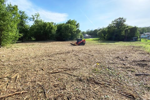 Pasture Reclamation with a Contractor and Ecologist