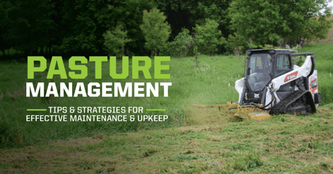 Pasture Management: Tips and Strategies for Effective Maintenance and Upkeep