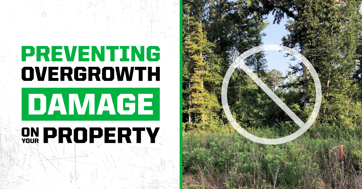 Photo inspiration: Gallery Detail: Preventing Overgrowth Damage On Your Property