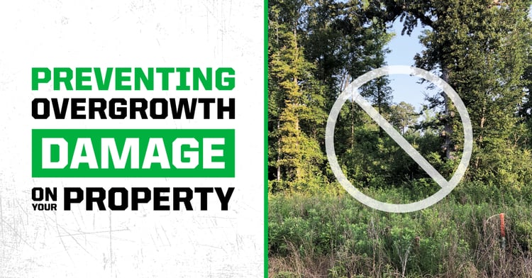 Preventing Overgrowth Damage on your Property