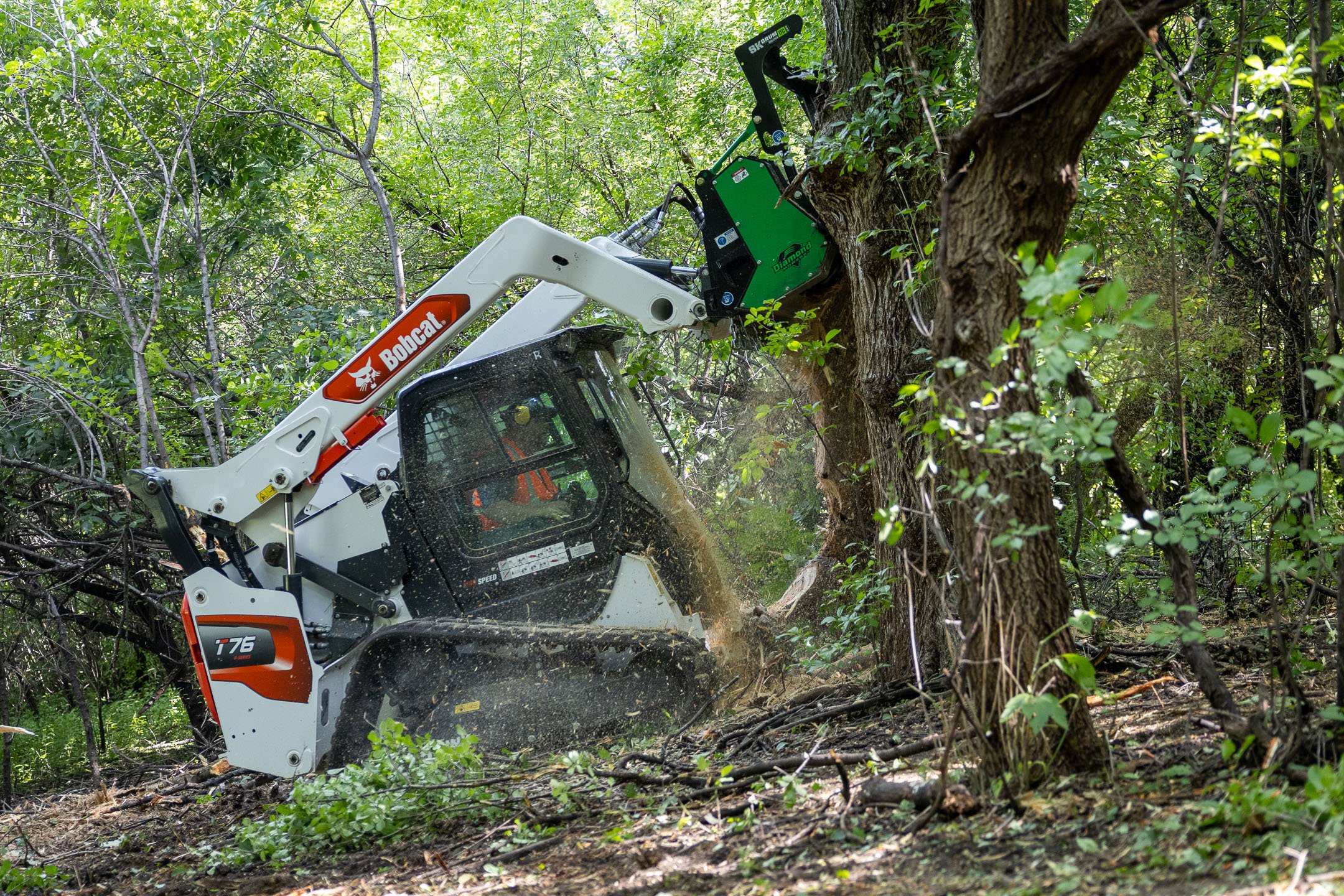 drum mulcher mulching a tree