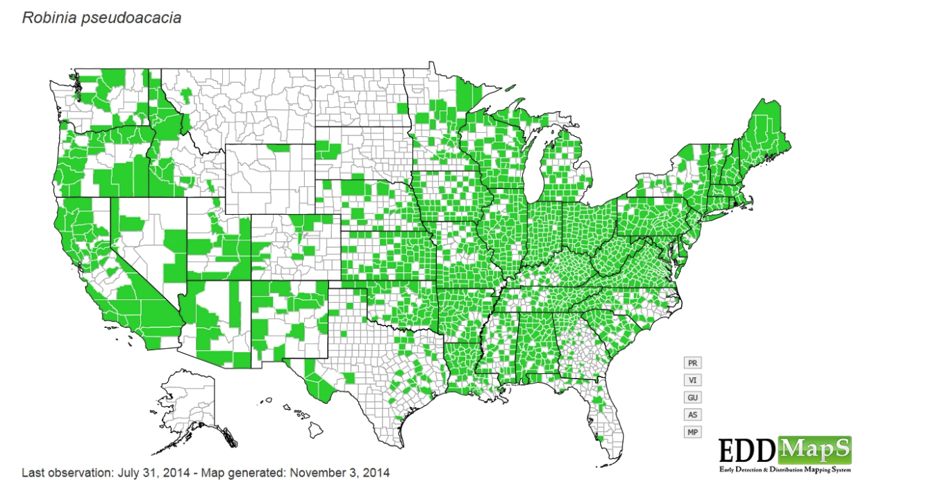 Map of distribution of Black Locust