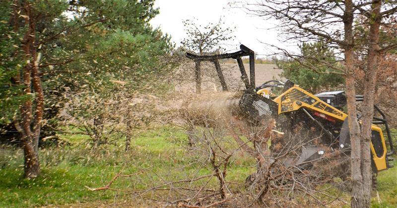 drum mulcher mulching a tree