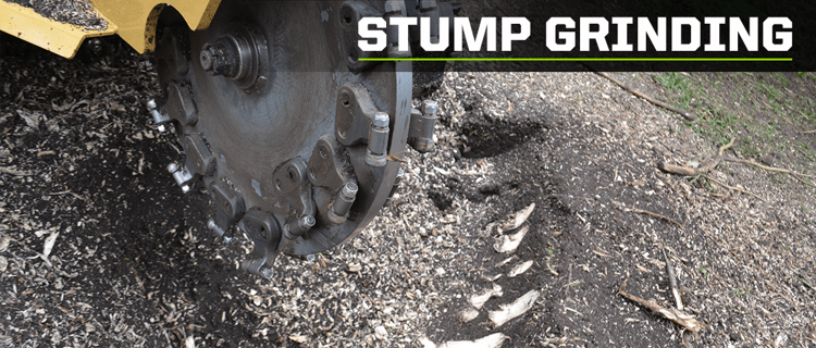 stump-grinding with a skid-steer
