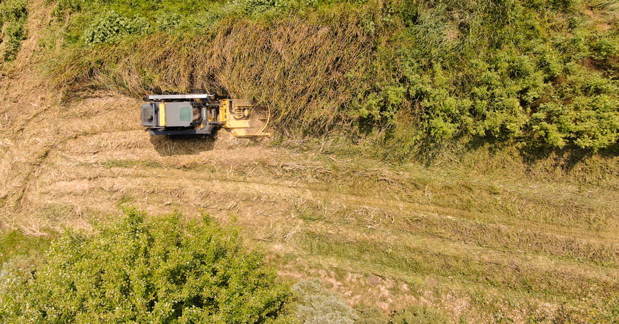 skid steer with a brush cutter cutting grass