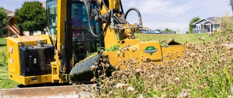 Summer Surge: Revenue-Generating Jobs