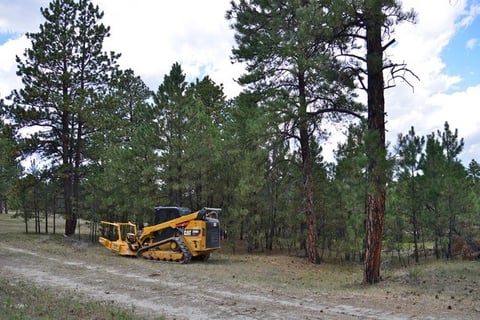 Industry Insight: Forestry Mulcher Preserves 5th Generation Ranch