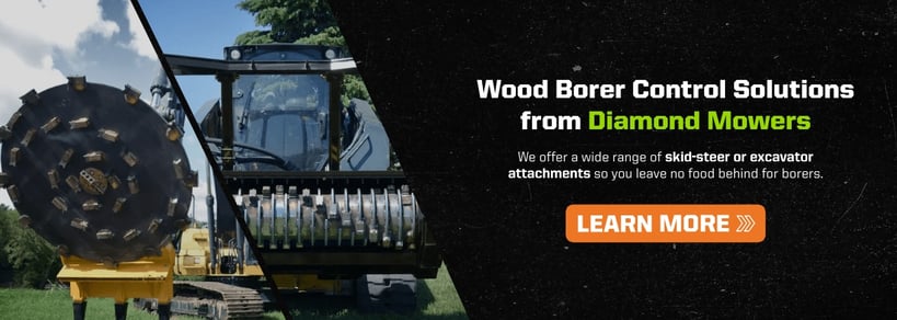 wood-borer-conversion-graphic