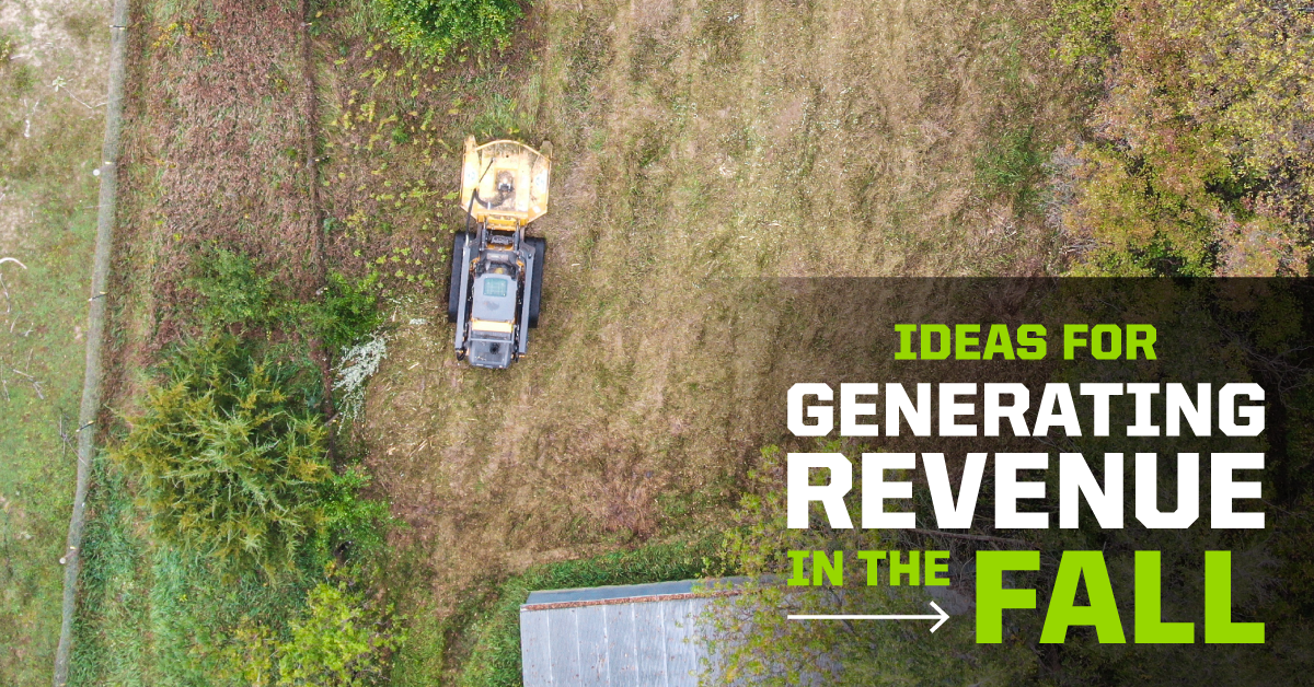 Diamond Mowers - Ideas for Generating Revenue in the Fall