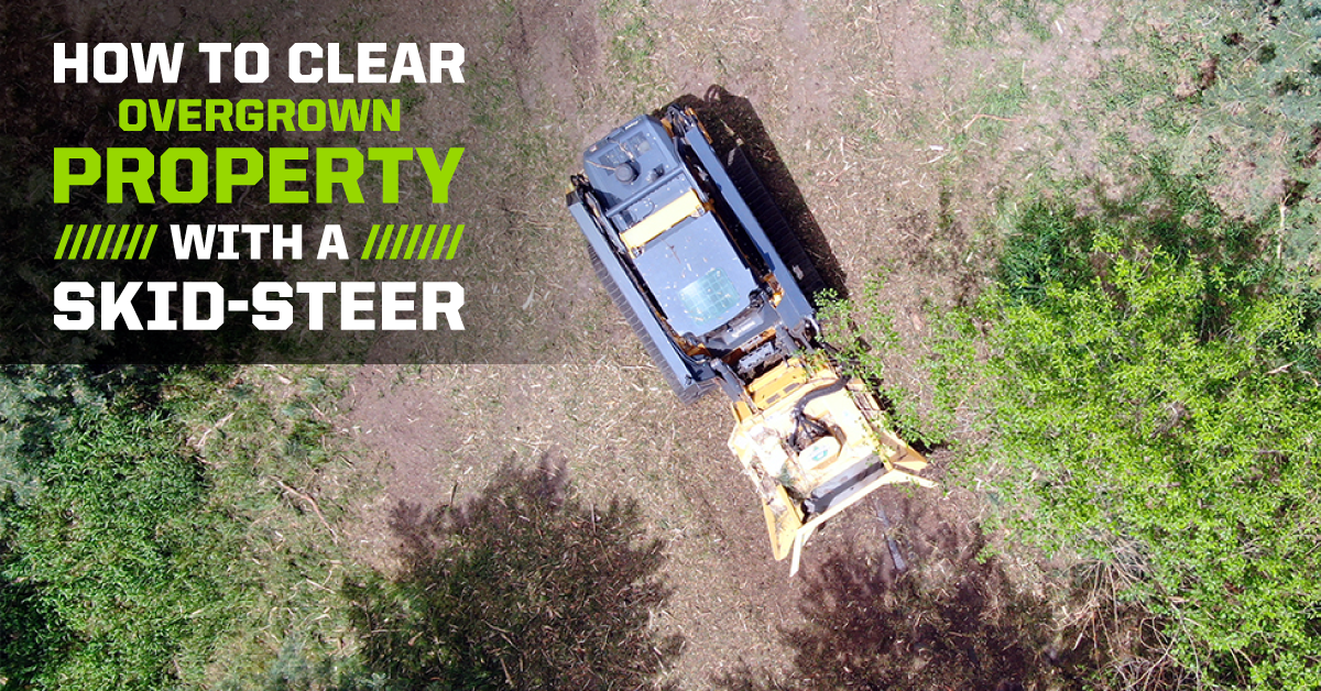 how to clear overgrown property with a skid-steer